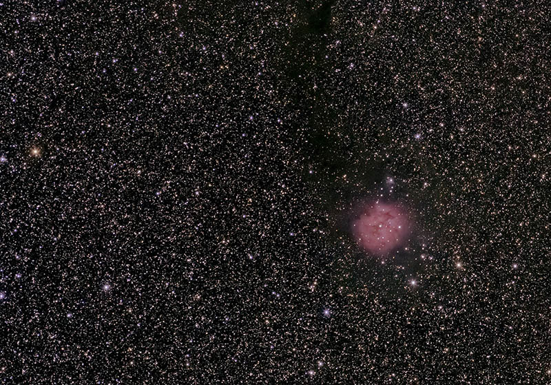 Cocoon Nebula