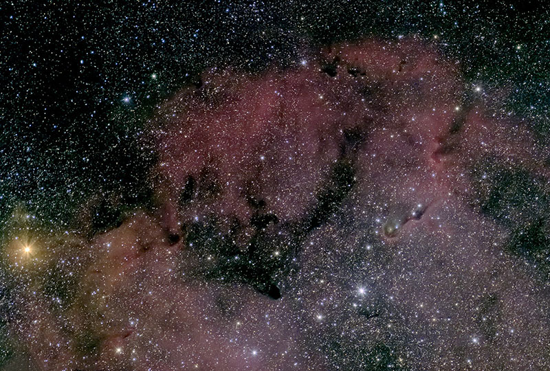 Elephant Trunk Nebula, Mu Cephei, and IC1396