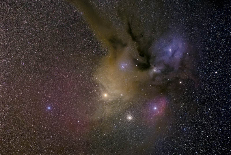 Rho Ophiuchus Region