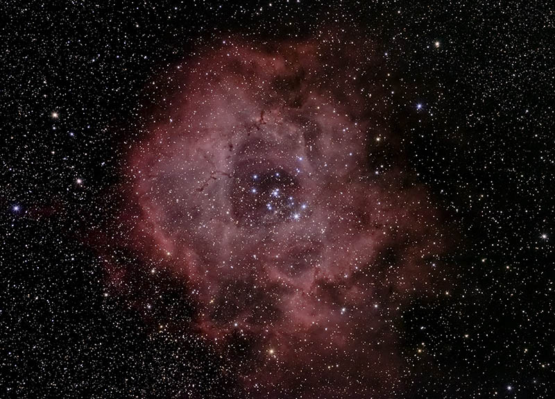 Rosette Nebula