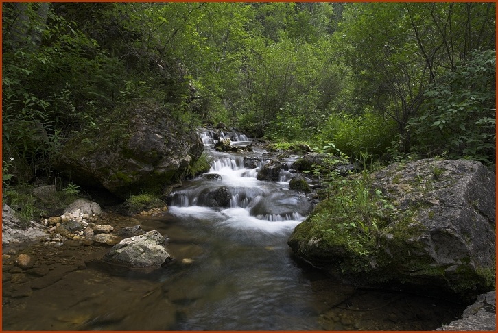 Iron Creek, Black Hills