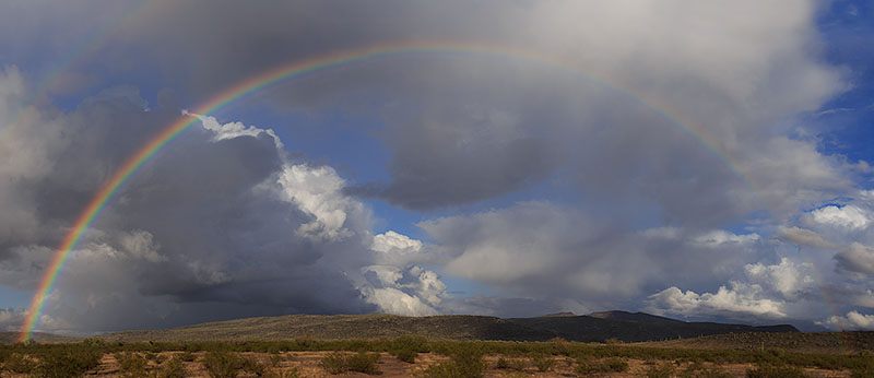 Sonoran Rainbow