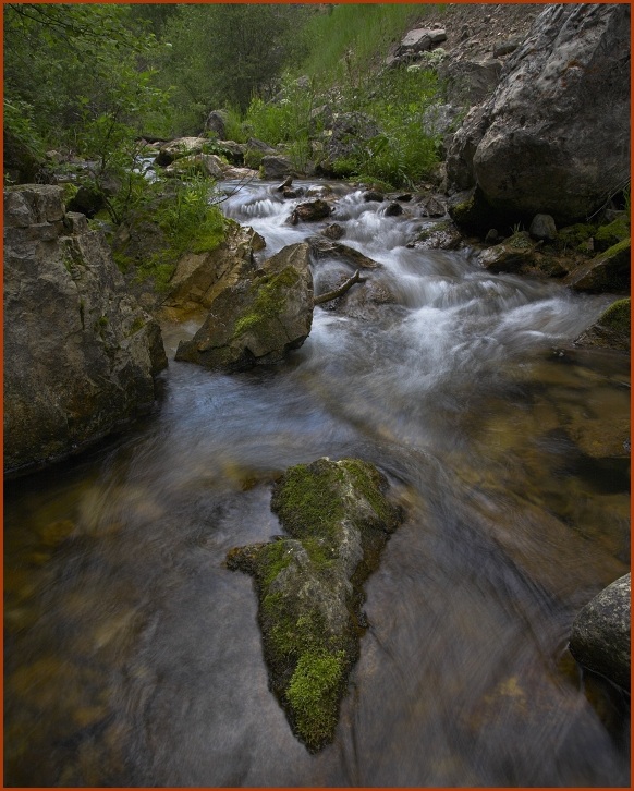 Iron Creek, Black Hills