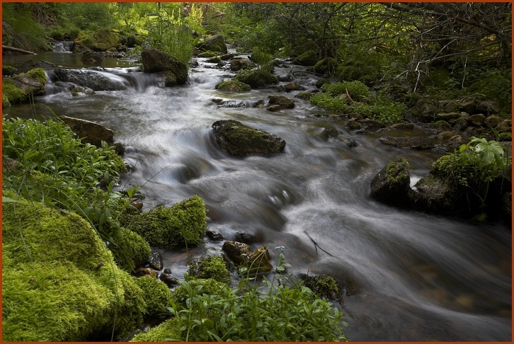 Iron Creek, Black Hills